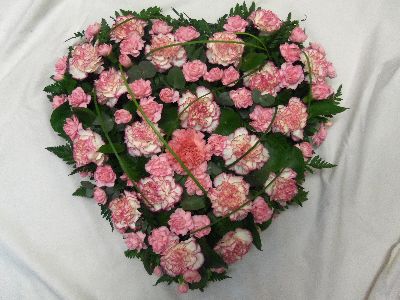 Carnation Heart